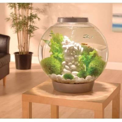 Classic 15 Aquarium with LED Light – 4 Gallon 16 gallon/60 liter