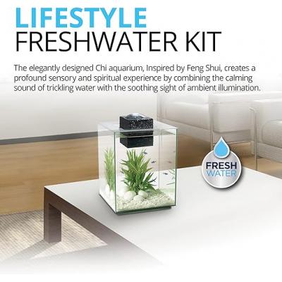 Fengshui Pool Aquarium Aquarium 5 gal