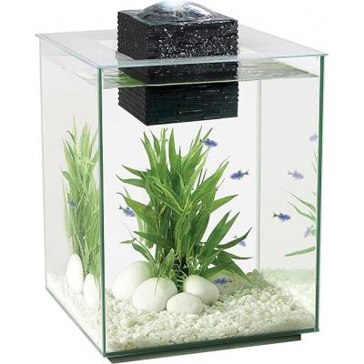 Fengshui Pool Aquarium Aquarium 5 gal